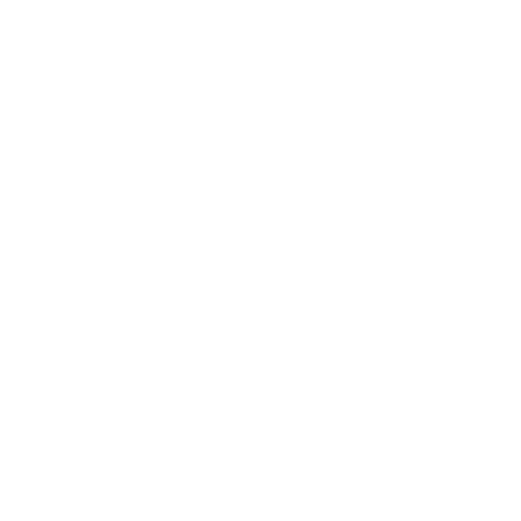 LE MANS