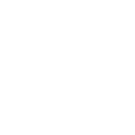 VALENCIA RICARDO TORMO 